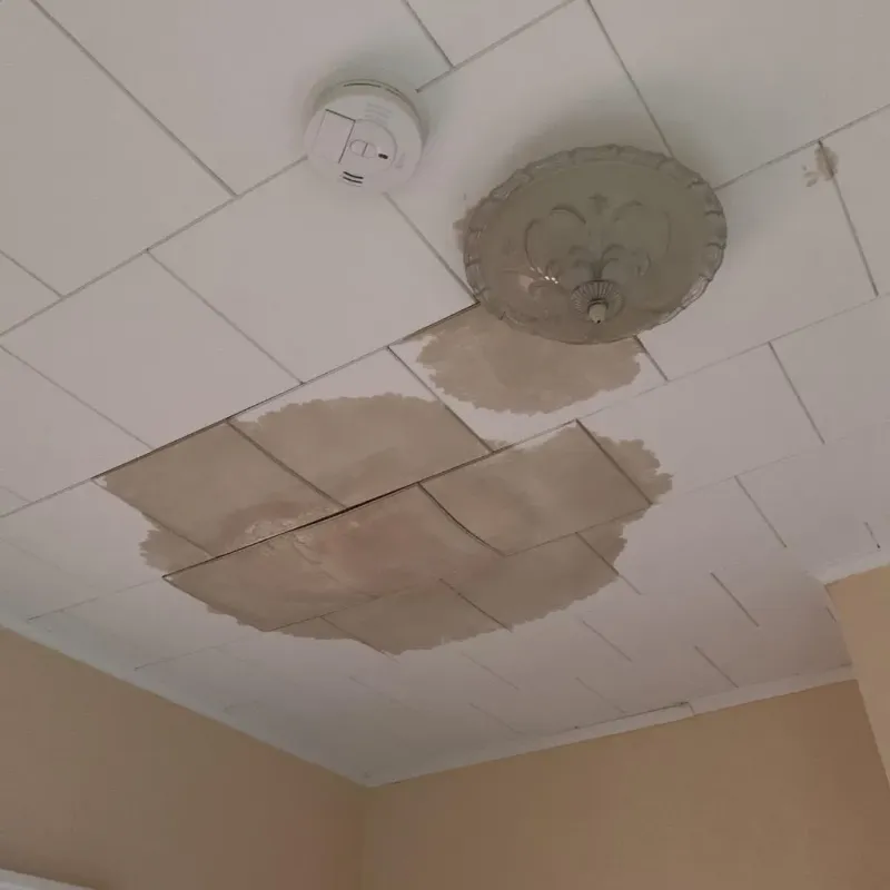 Ceiling Water Damage Repair in Mountain Top, PA