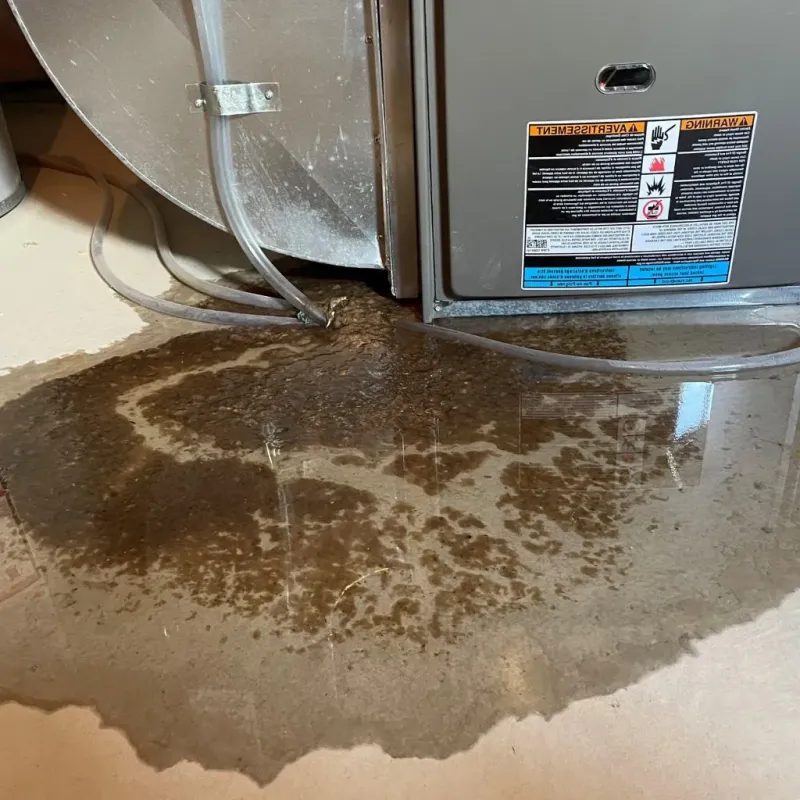 Pipe Burst and Leak Restoration in Mountain Top, PA