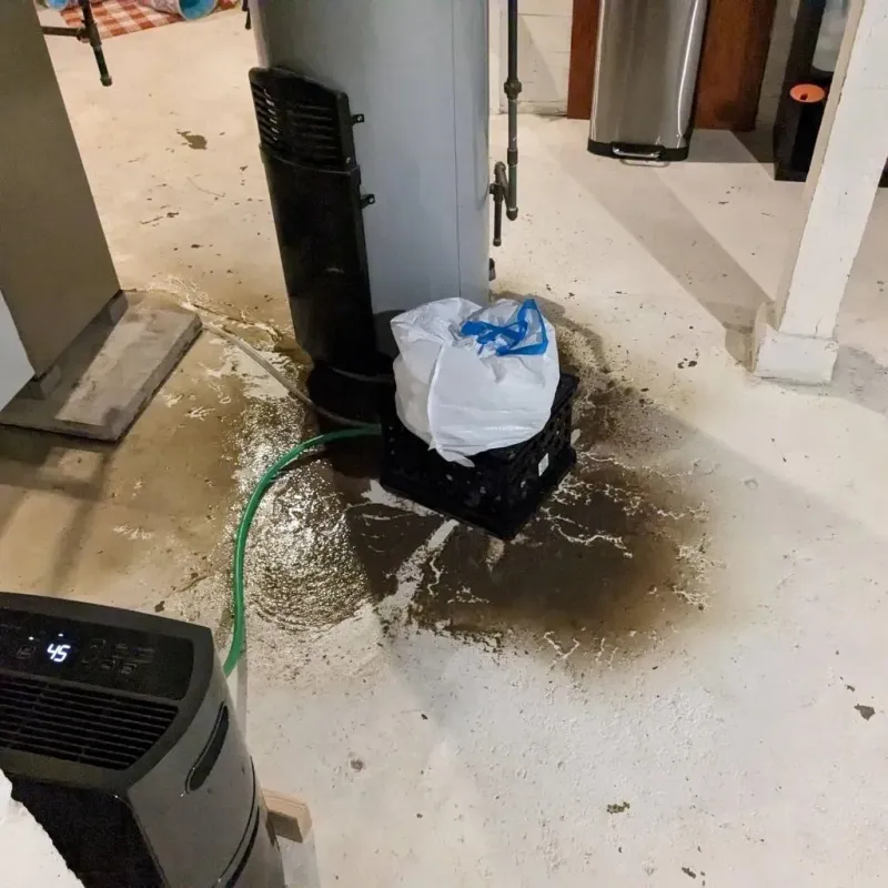 Sewage Backup Cleanup Service in Mountain Top, PA